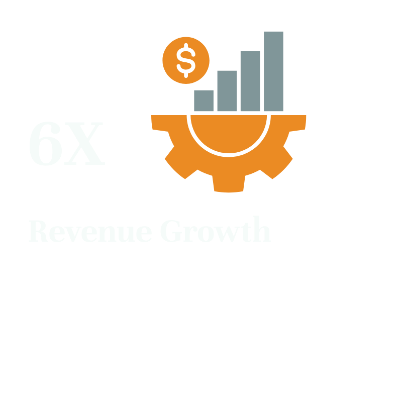 6 times revenue growth 6 times revenue growth