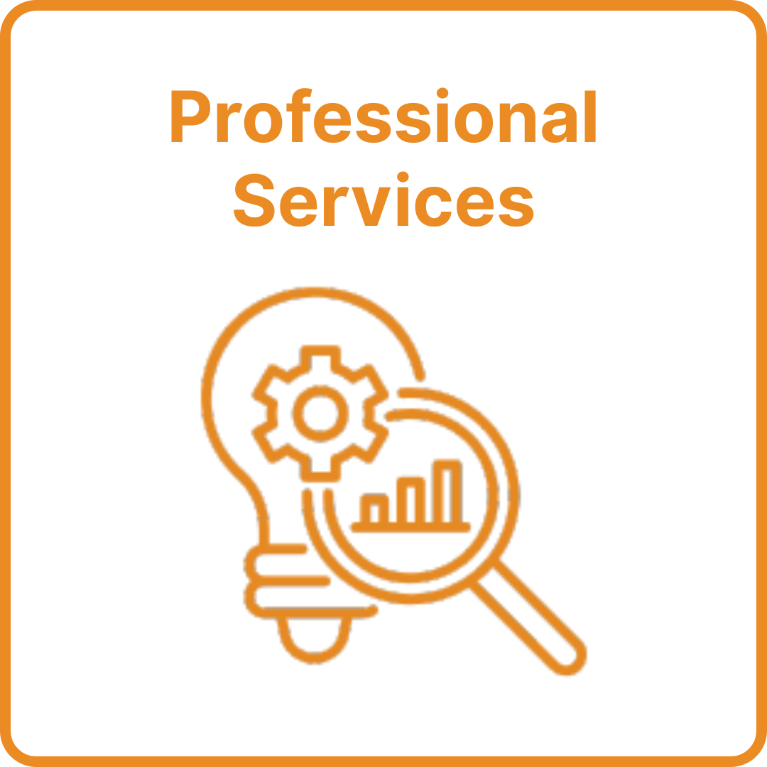 professional services professional services